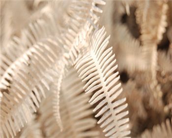 空氣改善需要靠污染源才能進行轉移，這個真不能這樣下結論